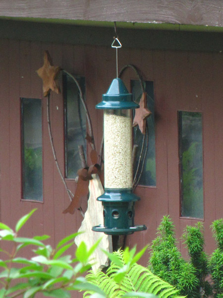 Bird feeder with safflower seeds