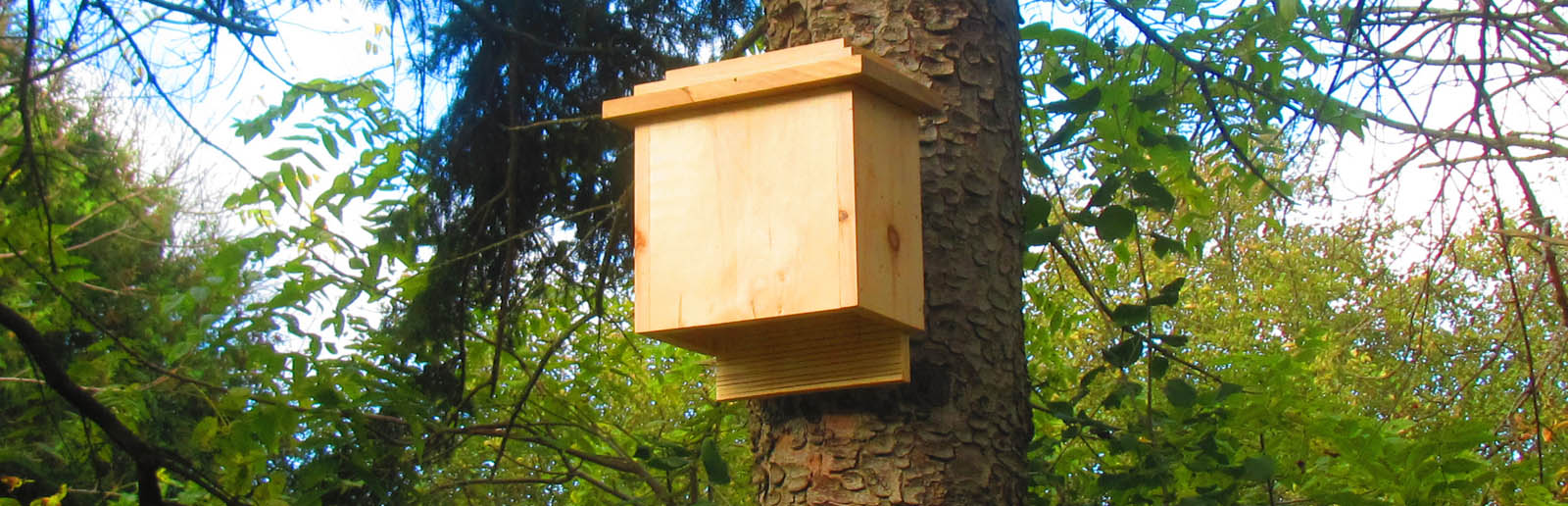 Small Bat House