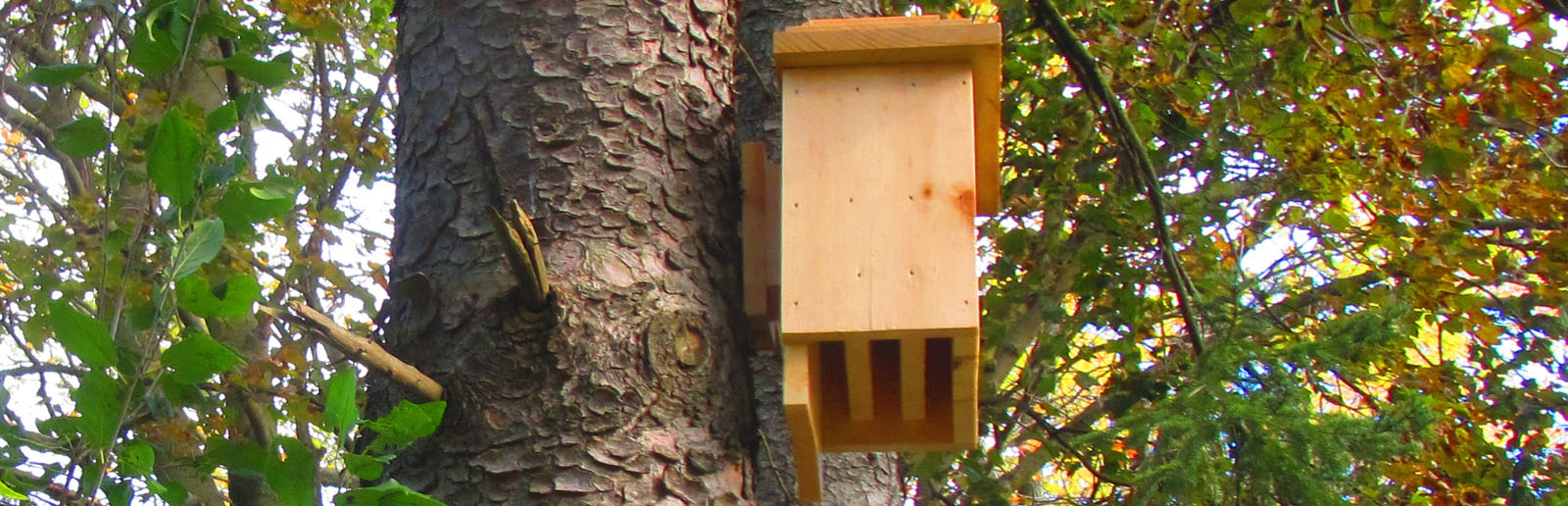 Small Bat House