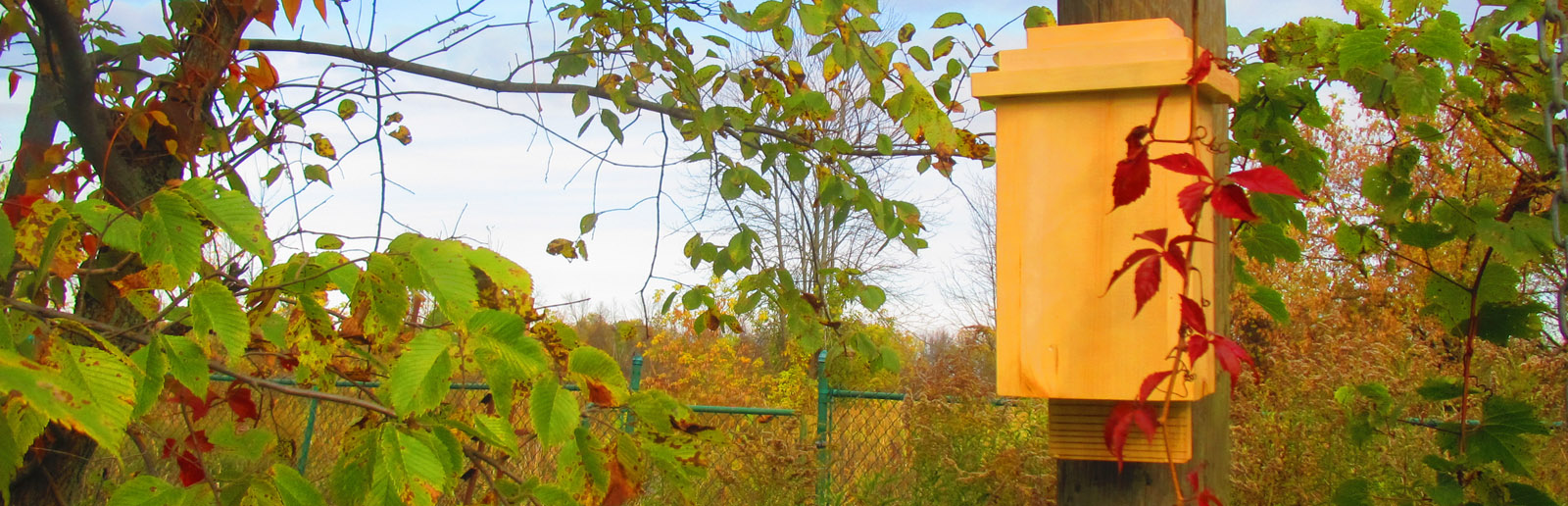 Small Bat House