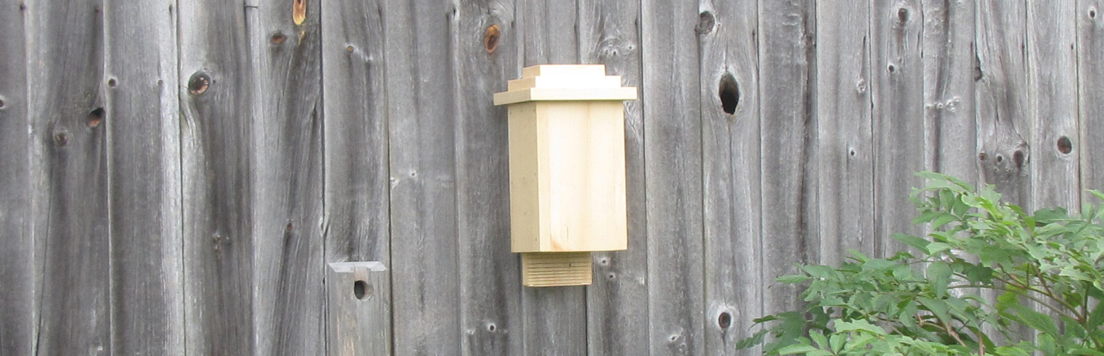 Small Bat House