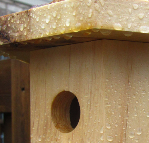 Preserving a birdhouse to make it waterproof