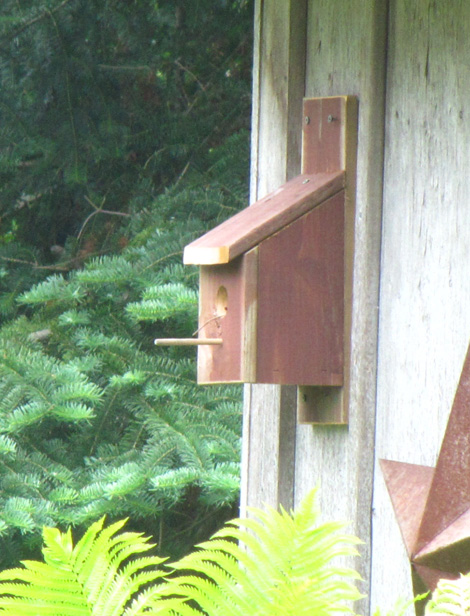 Birdhouse with large perch