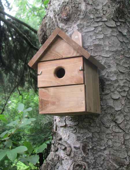 Is a cedar birdhouse toxic?