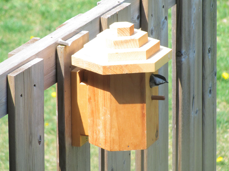 Hexagonal Pine Birdhouse