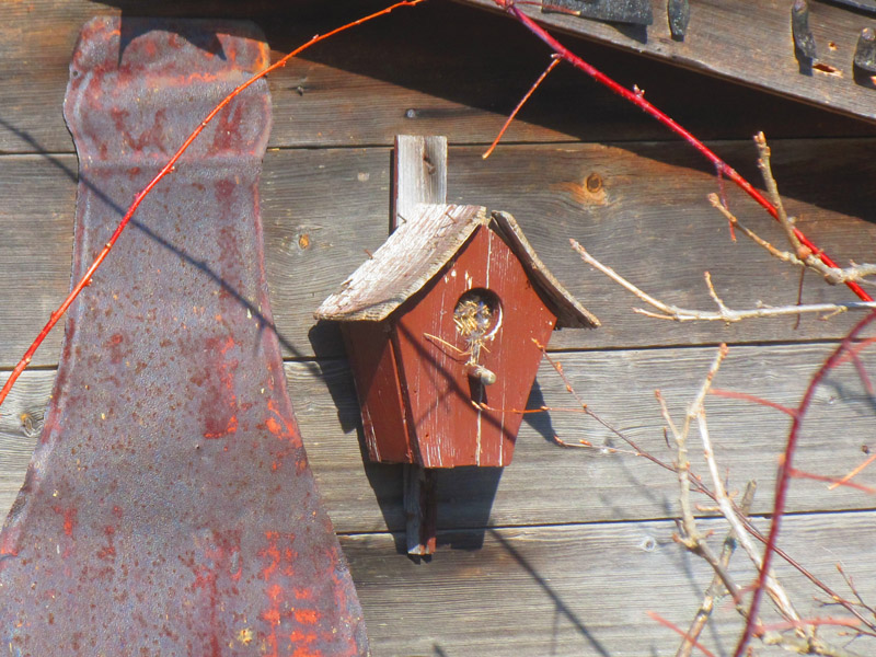 Painted birdhouse that is too small for birds