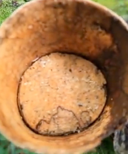 Birch bark cavity which could be used to create a birdhouse