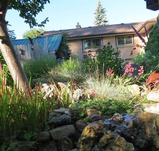 Picture of a backyard landscaped for birds