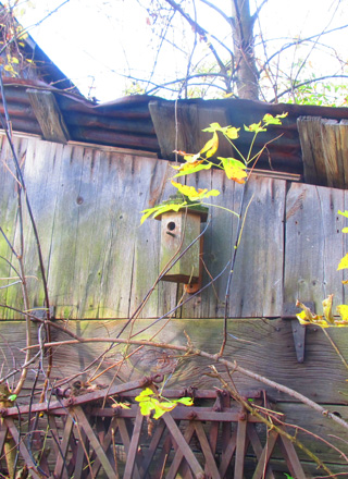 Mounting a birdhouse on wood siding