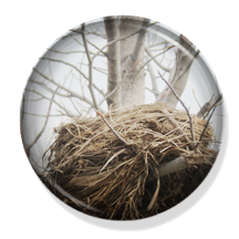 Birdhouse Nesting Materials