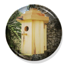 Hexagonal Birdhouse