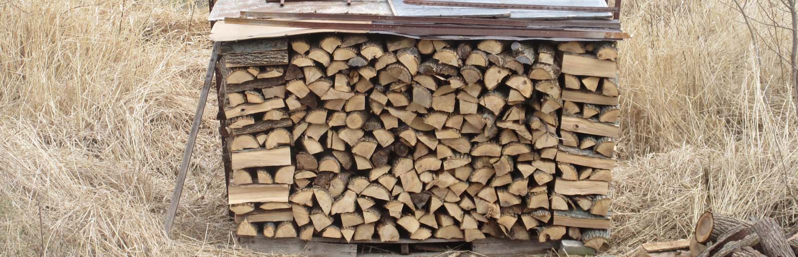 Ash firewood
