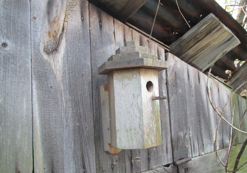 Original birdhouse built by Bert Cranmer. The hexagonal birdhouse design was first created by Bert Cranmer after many different designs. The hexagonal birdhouse performed best and has shown to last for many years.
