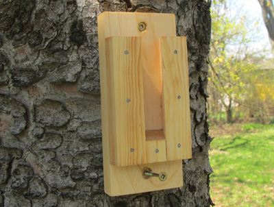 There are some birdhouses available that allow you to fasten a bracket to the final spot and remove the birdhouse as necessary without a screwdriver. This makes it easy to look inside and clean out old nests.  A screwdriver or drill is still required to initially mount the bracket, but once the bracket is mounted a screwdriver is not needed for regular maintenance. A mounting bracket is light and easy to hold, unlike an entire birdhouse.  Not only does this make it easy to maintain one birdhouse, this is extremely beneficial when many birdhouses are required to be checked on or cleaned out throughout the season.