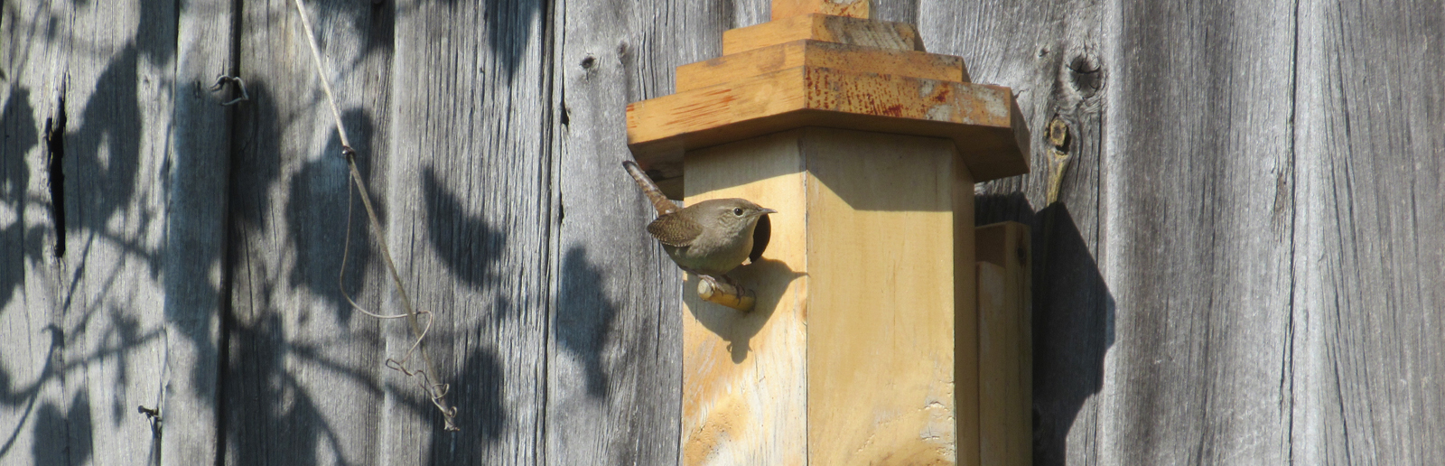 Handmade Hexagonal Wren Birdhouse