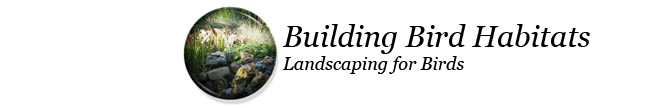 Learn about landscaping for birds
