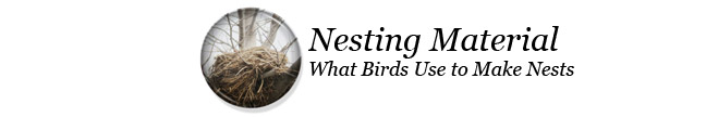 Nesting Materials - What birds Use to Make Nests