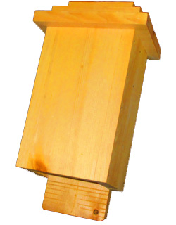Large
                    Three Chamber Bat House White Pine Main picture
