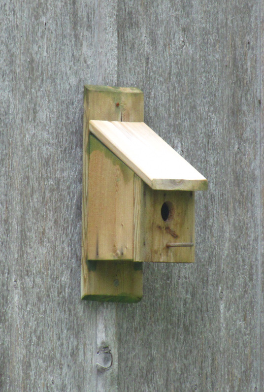 Using the back wall of a birdhouse to mount it