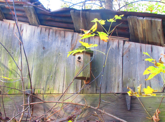 Mounting a birdhouse under a roof overhang or under an eve gives the birdhouse a semi-sheltered location and will make it last longer with less maintenance