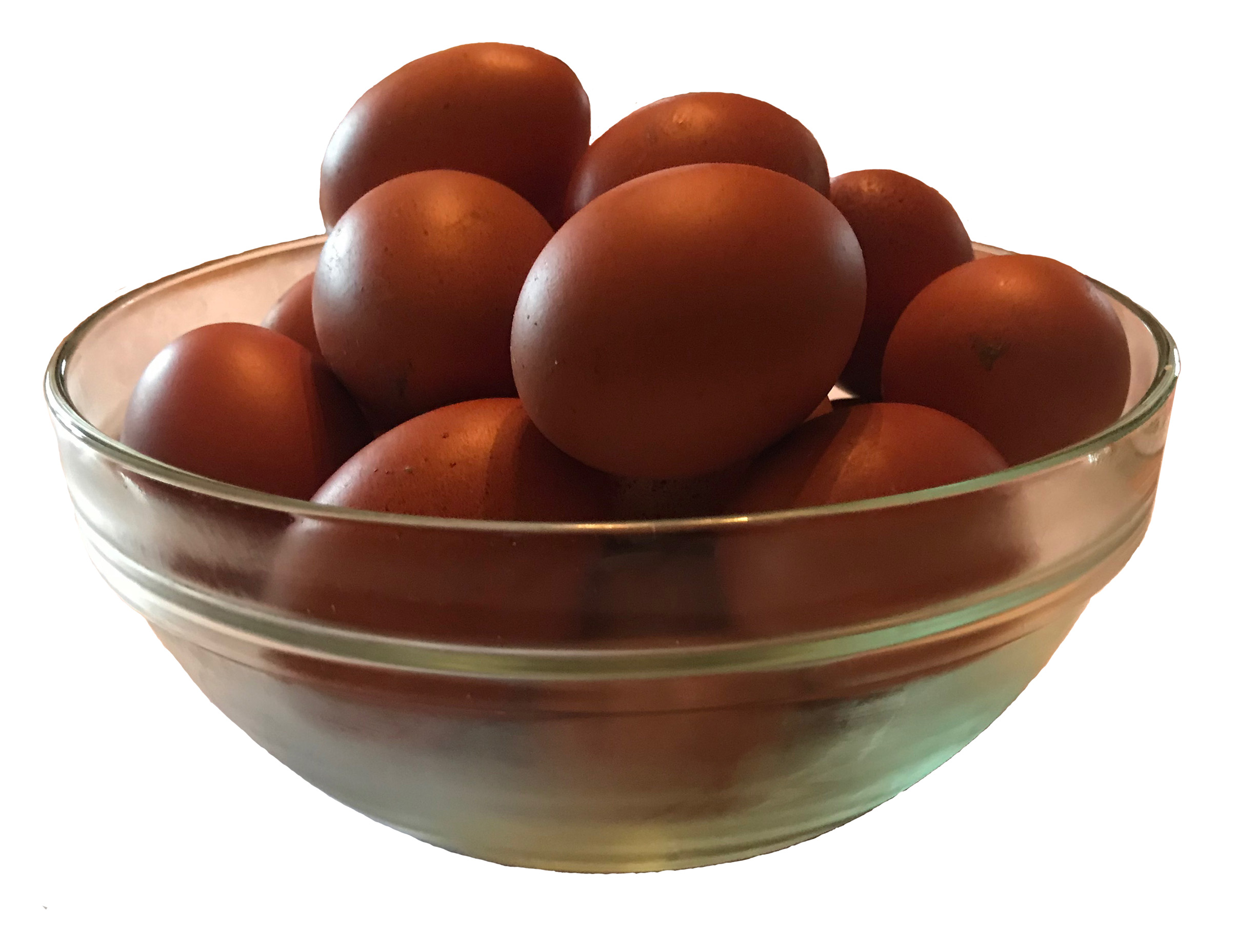 Darkest brown chicken egg available