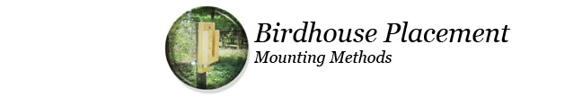 Mounting and Placing a Birdhouse in your Yard
